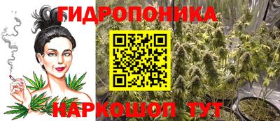 индика Малгобек