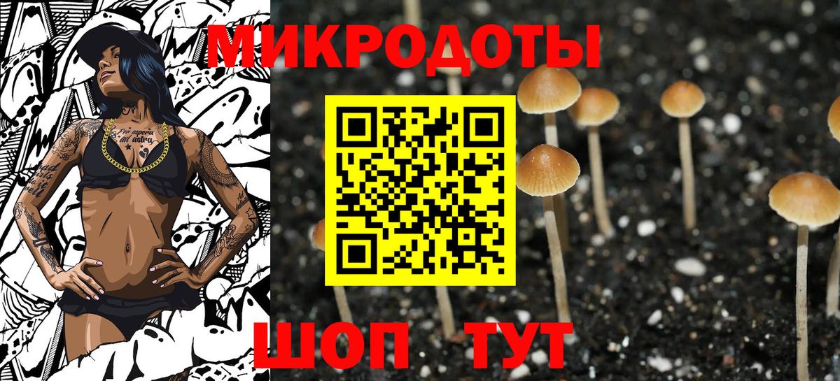 Псилоцибиновые грибы мухоморы Ярославль