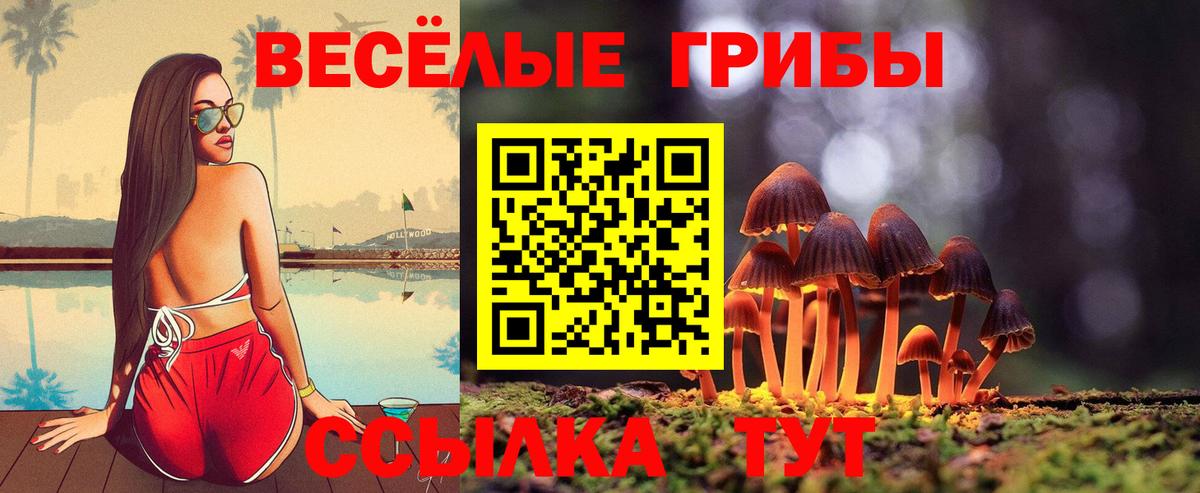 Ярославль  Галлюциногенные грибы Psilocybine cubensis  Вход с VPN 